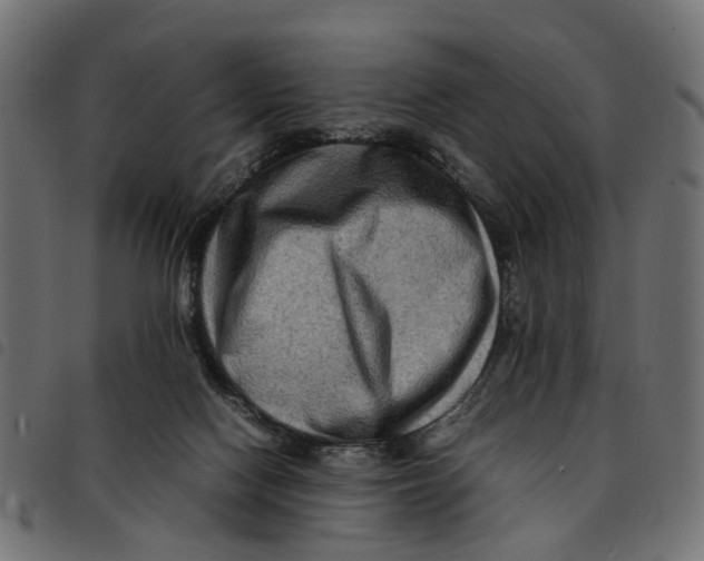 X0000092230074200710121227