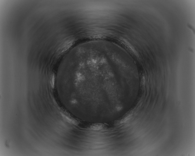 X0000092230076200710121227