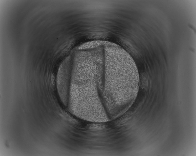 X0000092230077200710121227