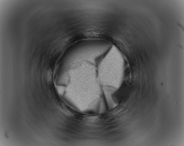 X0000092230081200710121227