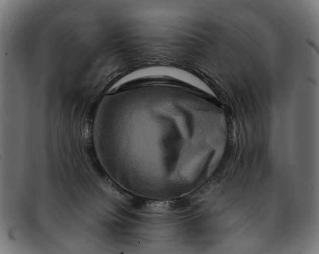 X0000092230084200710121227