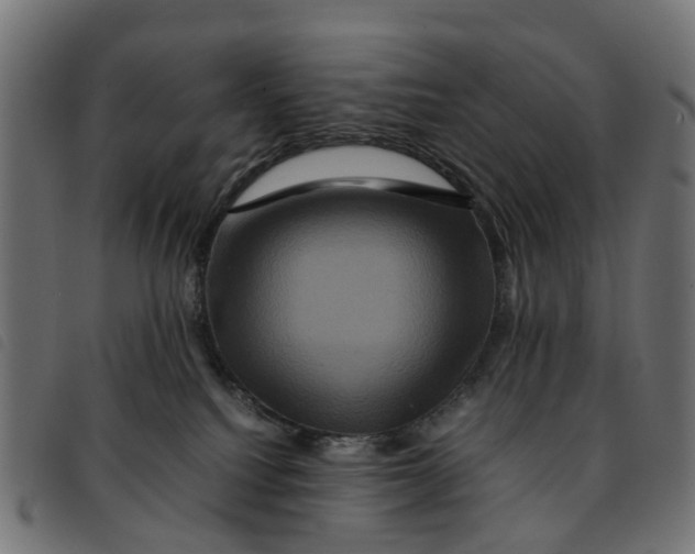 X0000092230088200710121227