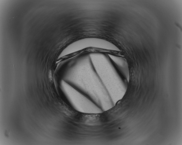 X0000092230089200710121227