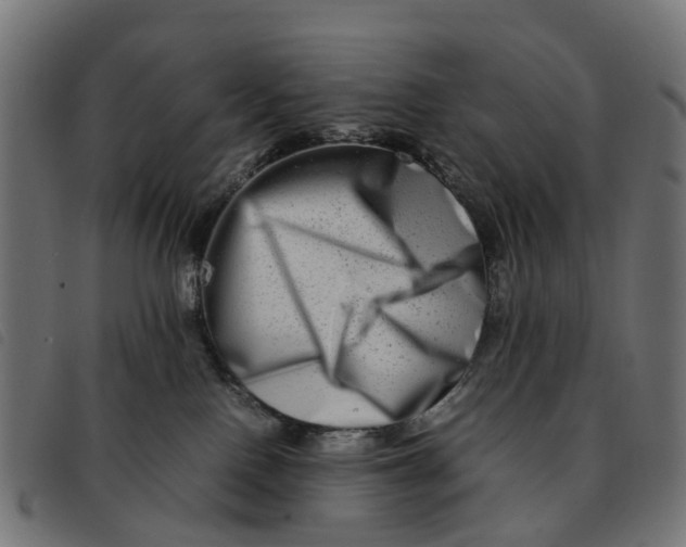 X0000092230090200710121227