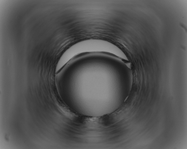 X0000092230092200710121227