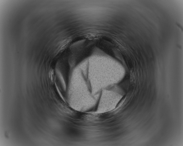 X0000092230094200710121227