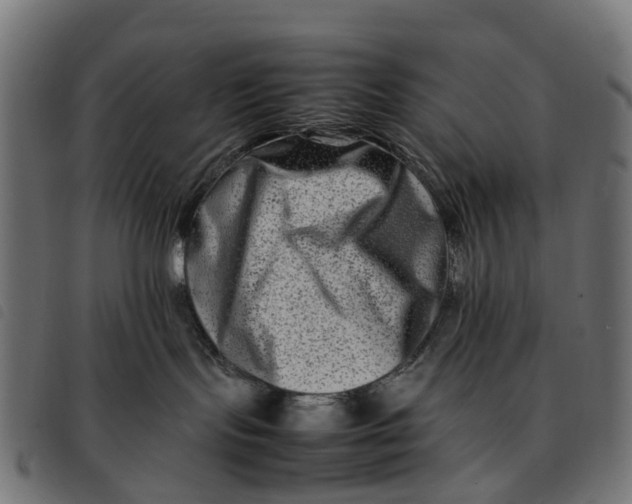 X0000092230095200710121227