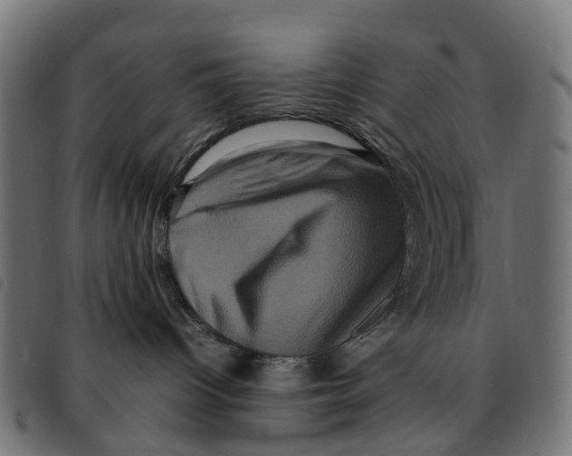 X0000092230096200710121227