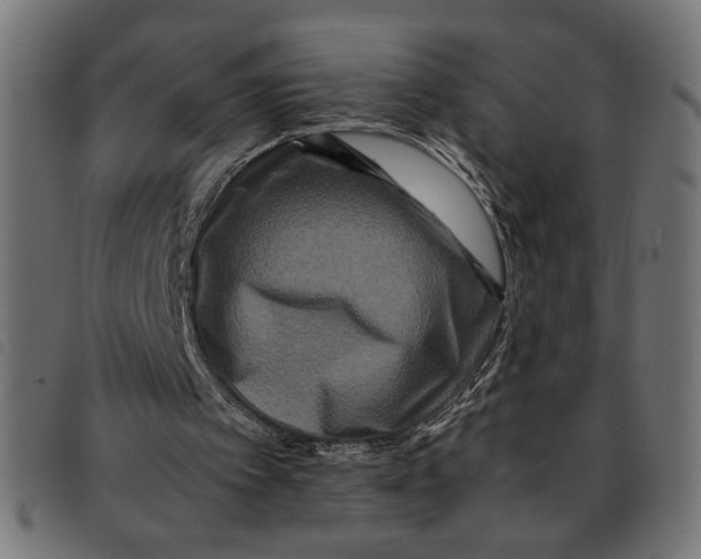 X0000092230097200710121226