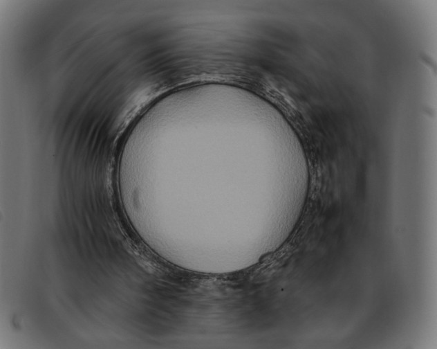 X0000092230098200710121226