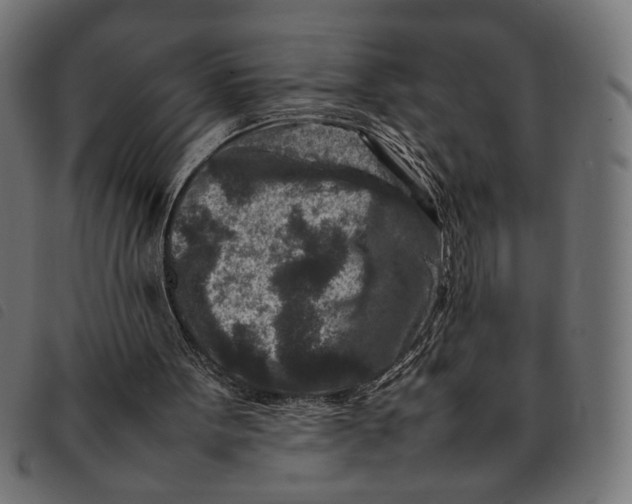 X0000092230099200710121226