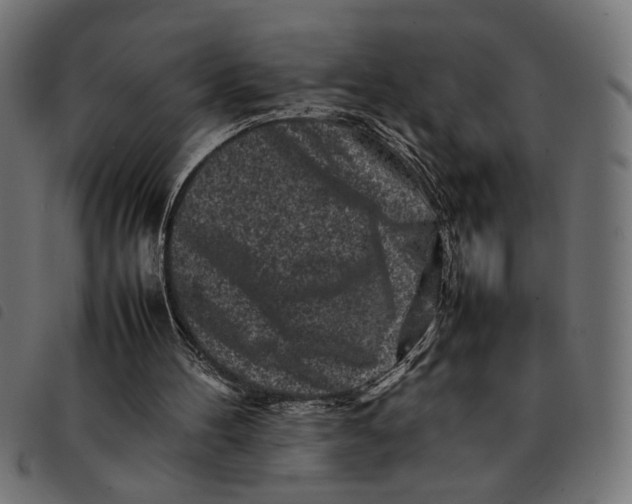 X0000092230100200710121226