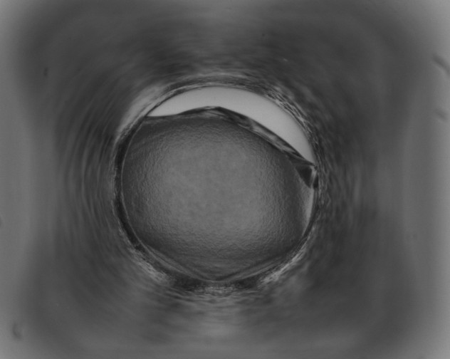 X0000092230101200710121226