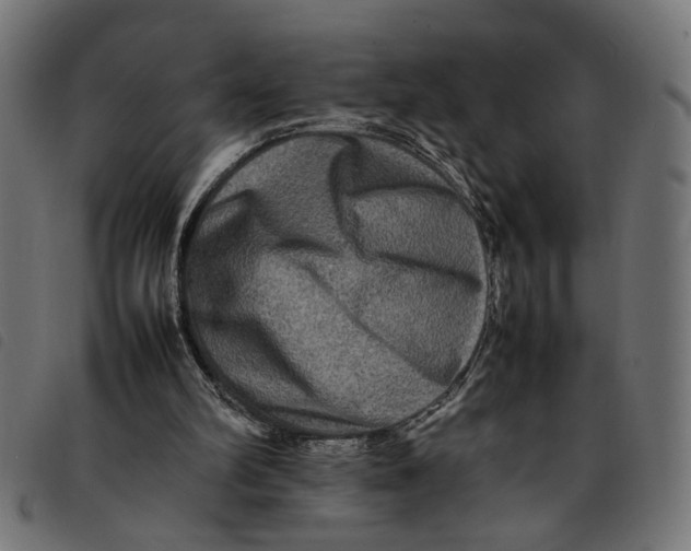 X0000092230102200710121226