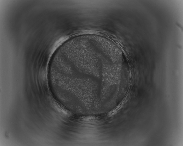 X0000092230104200710121226