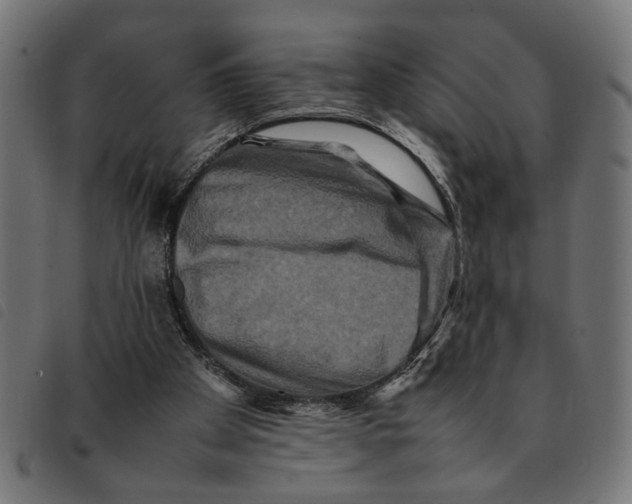 X0000092230105200710121226