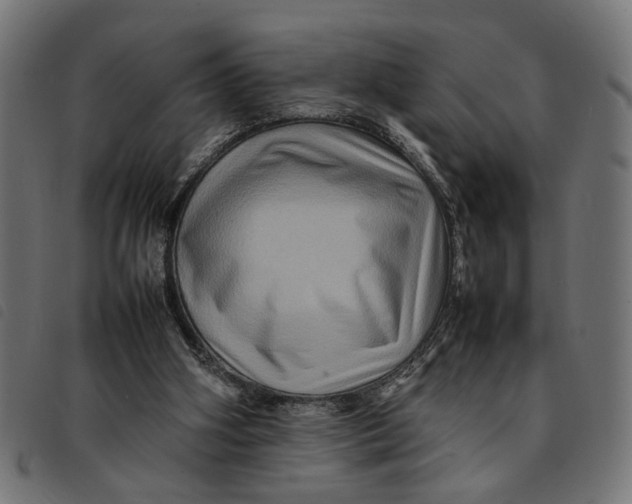 X0000092230106200710121226