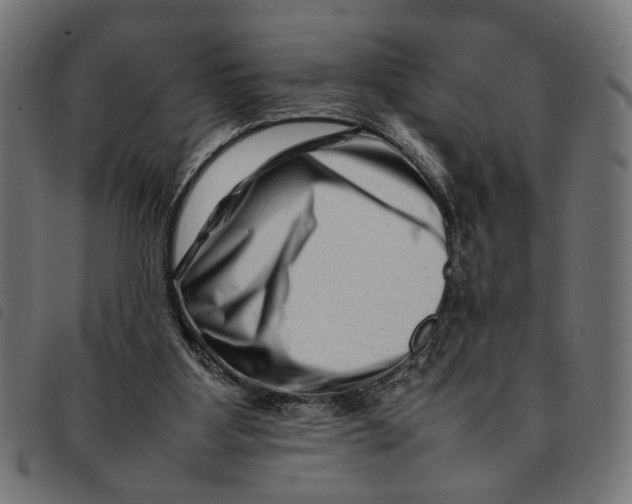 X0000092230107200710121226