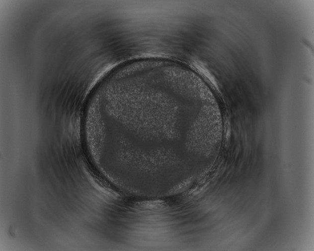 X0000092230108200710121226