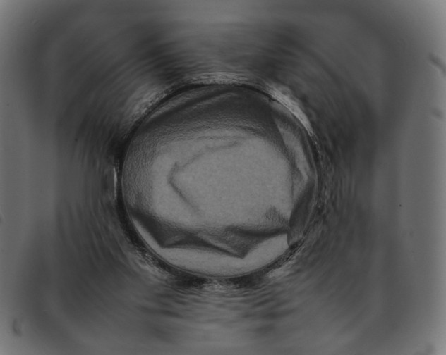 X0000092230109200710121226