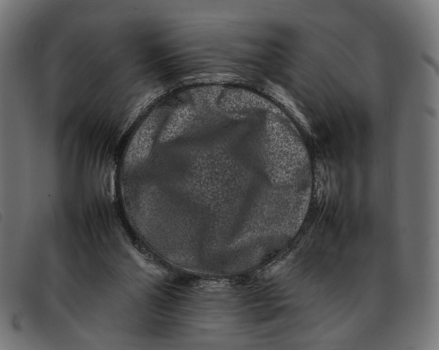 X0000092230110200710121226