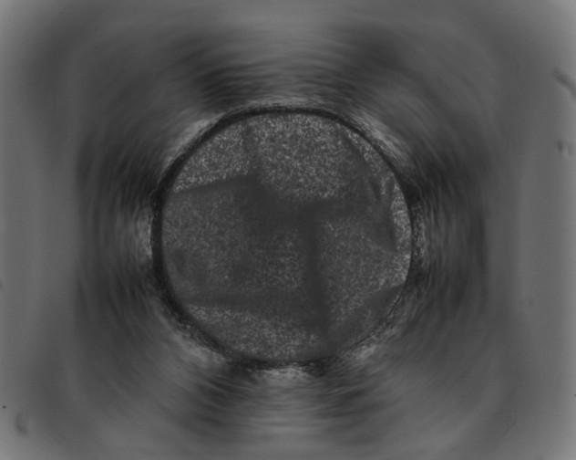 X0000092230112200710121226