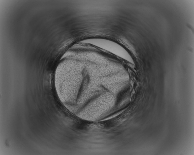 X0000092230115200710121226