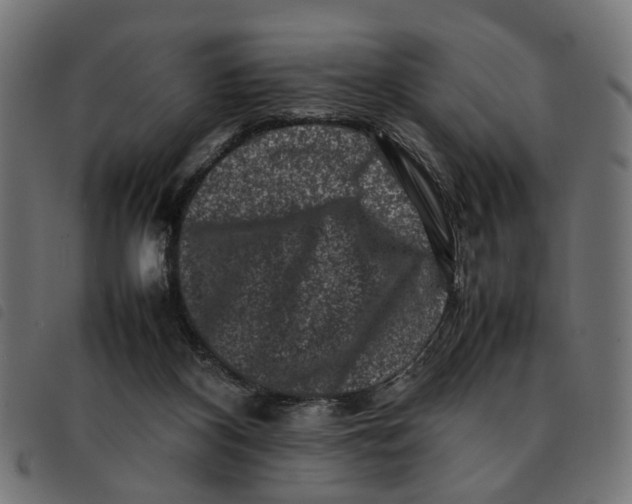 X0000092230116200710121226