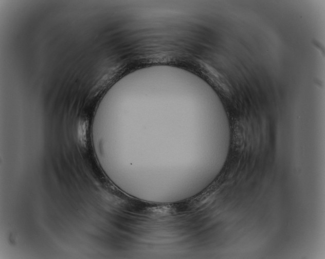 X0000092230118200710121226