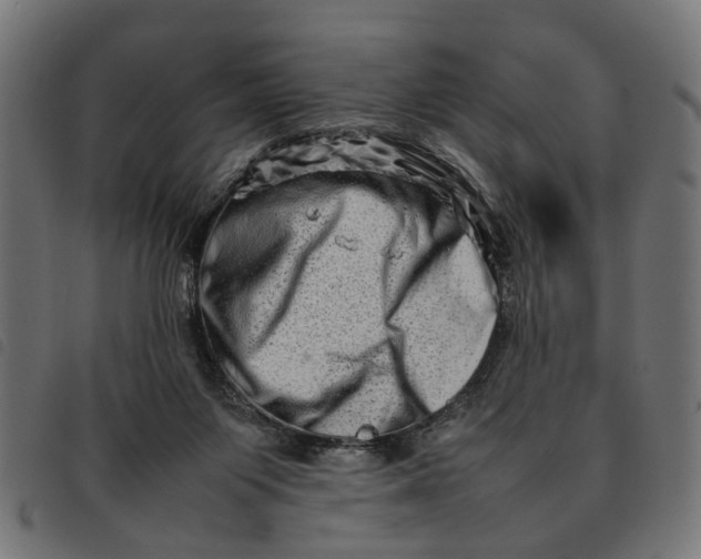 X0000092230119200710121226