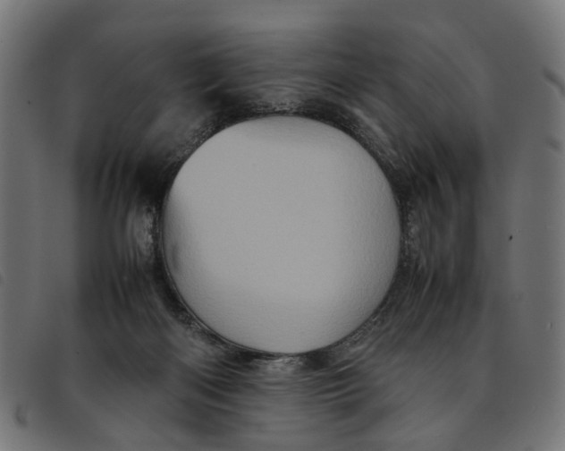 X0000092230122200710121226