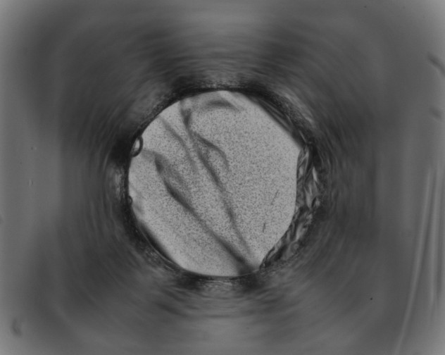 X0000092230123200710121226