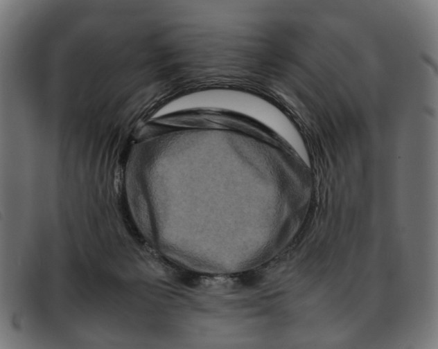 X0000092230125200710121226