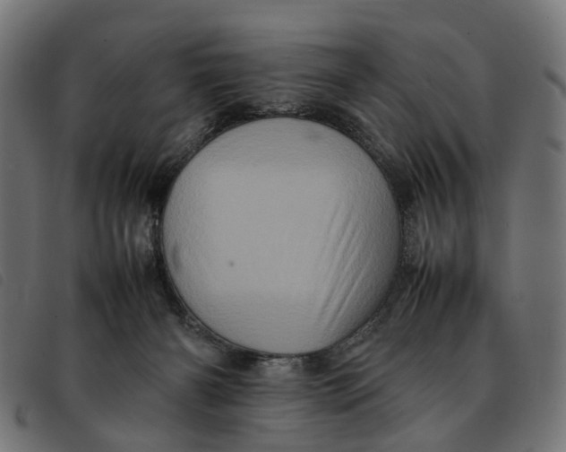 X0000092230126200710121226