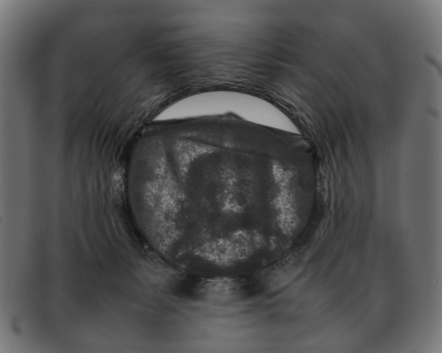 X0000092230127200710121226