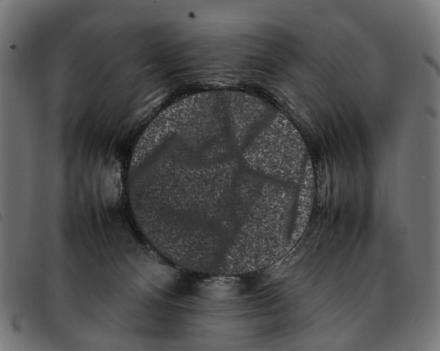 X0000092230128200710121226