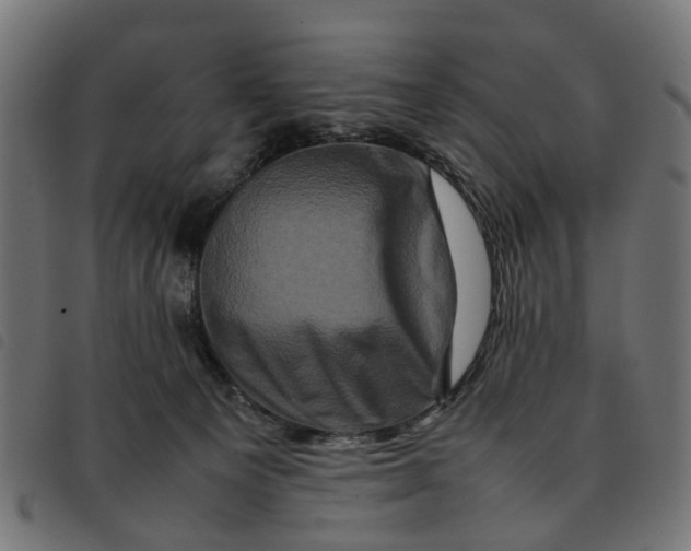 X0000092230129200710121226