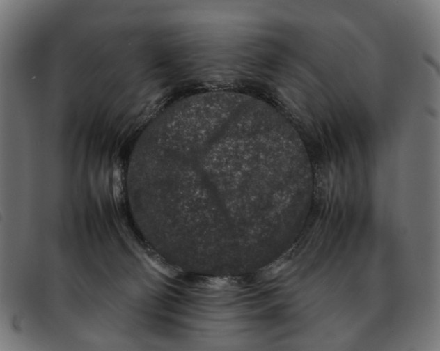 X0000092230130200710121226