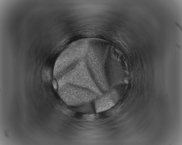 X0000092230131200710121226