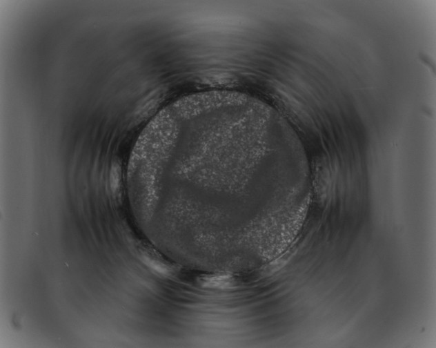 X0000092230132200710121226