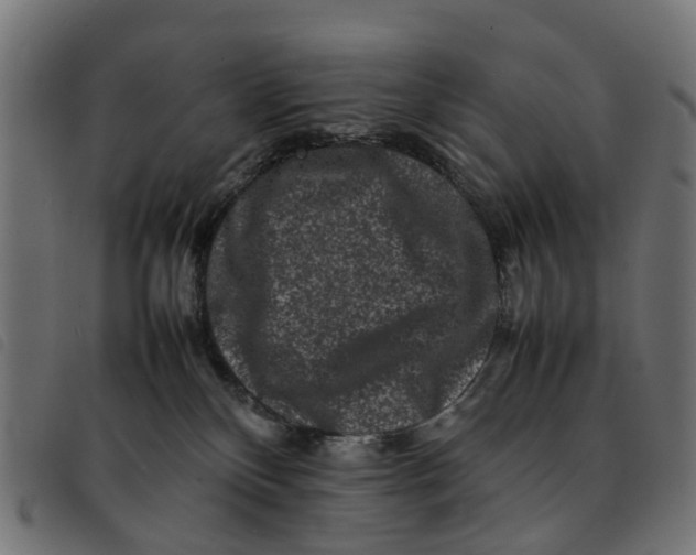 X0000092230136200710121226