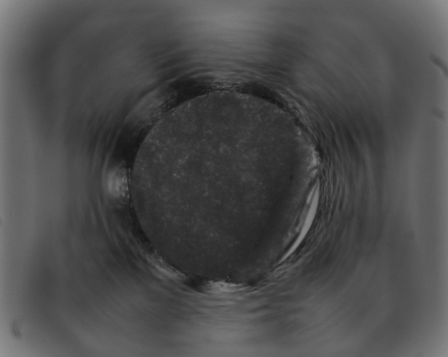 X0000092230137200710121226