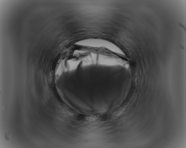 X0000092230139200710121226