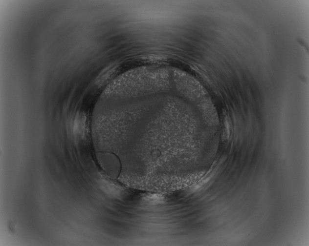 X0000092230140200710121226