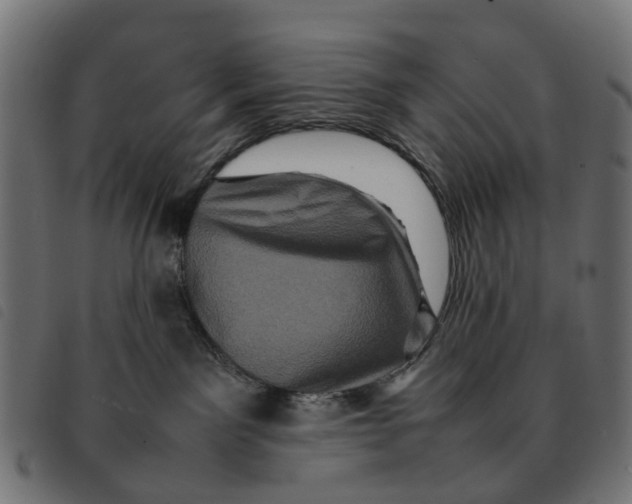 X0000092230141200710121226