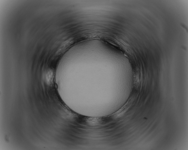 X0000092230142200710121226