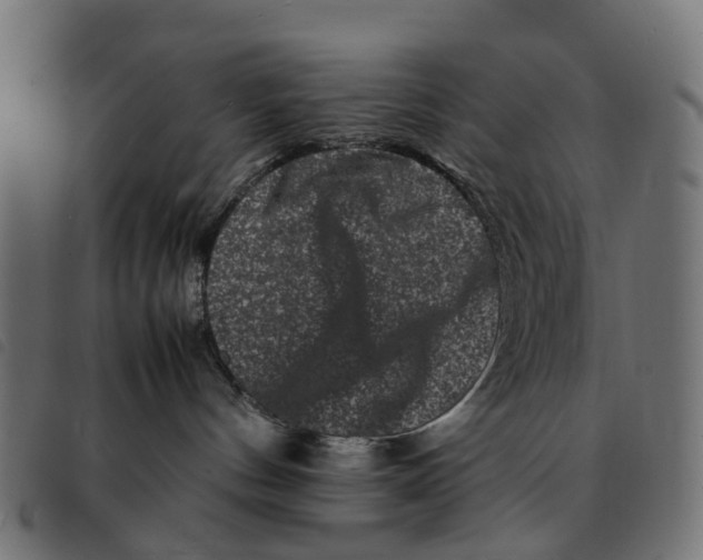 X0000092230144200710121226