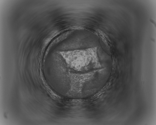 X0000092230145200710121225