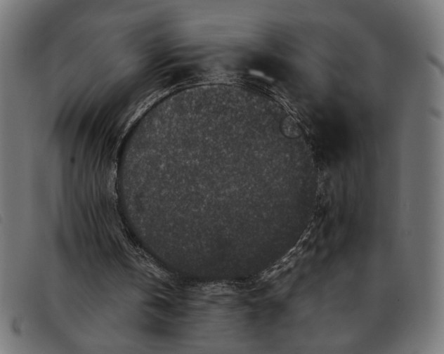 X0000092230146200710121225