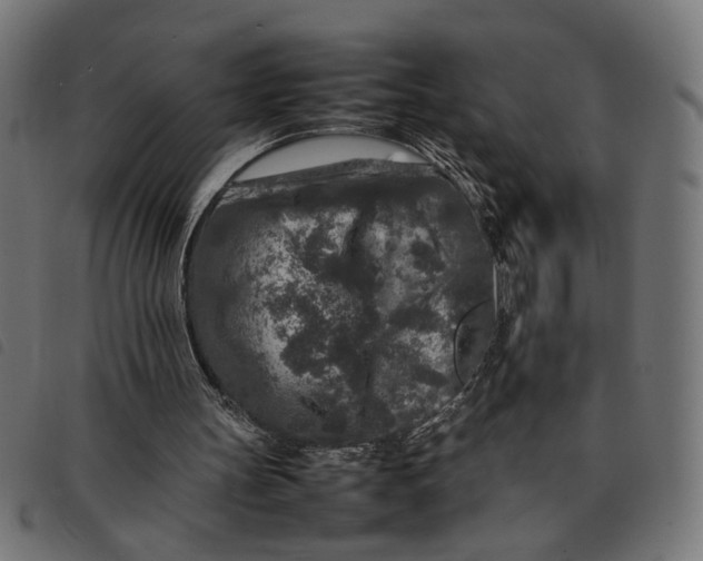 X0000092230147200710121225